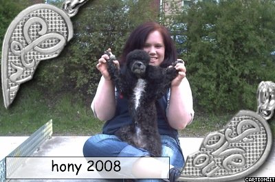 Hony2008 Die Frau fürs Leben in Hannover