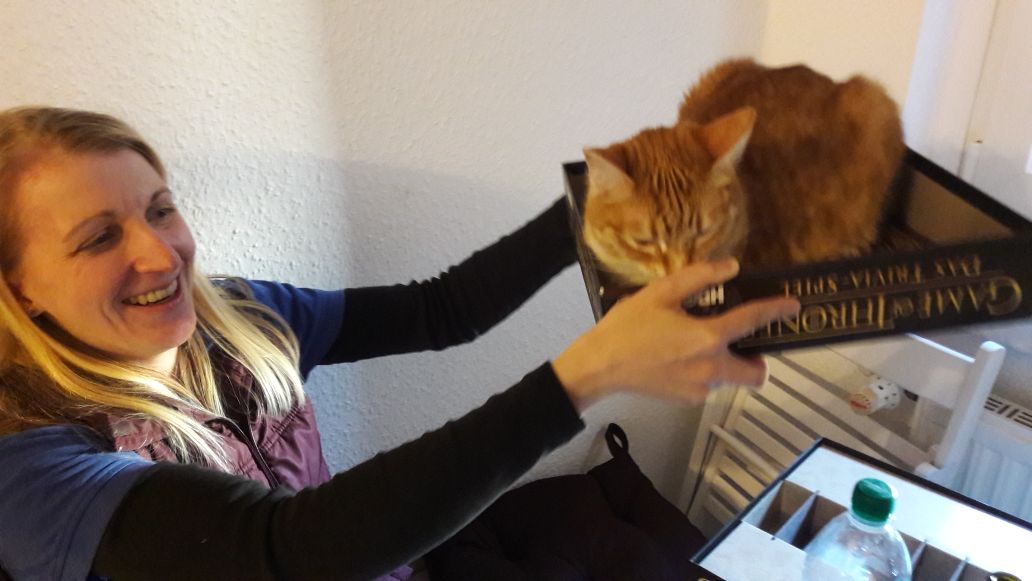 Spatz8633583 eine Liebe mit vielen Schmetterlingen im Bauch in Haldensleben