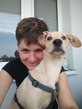 Cookie Was Sich Eben Ergibt in Berlin