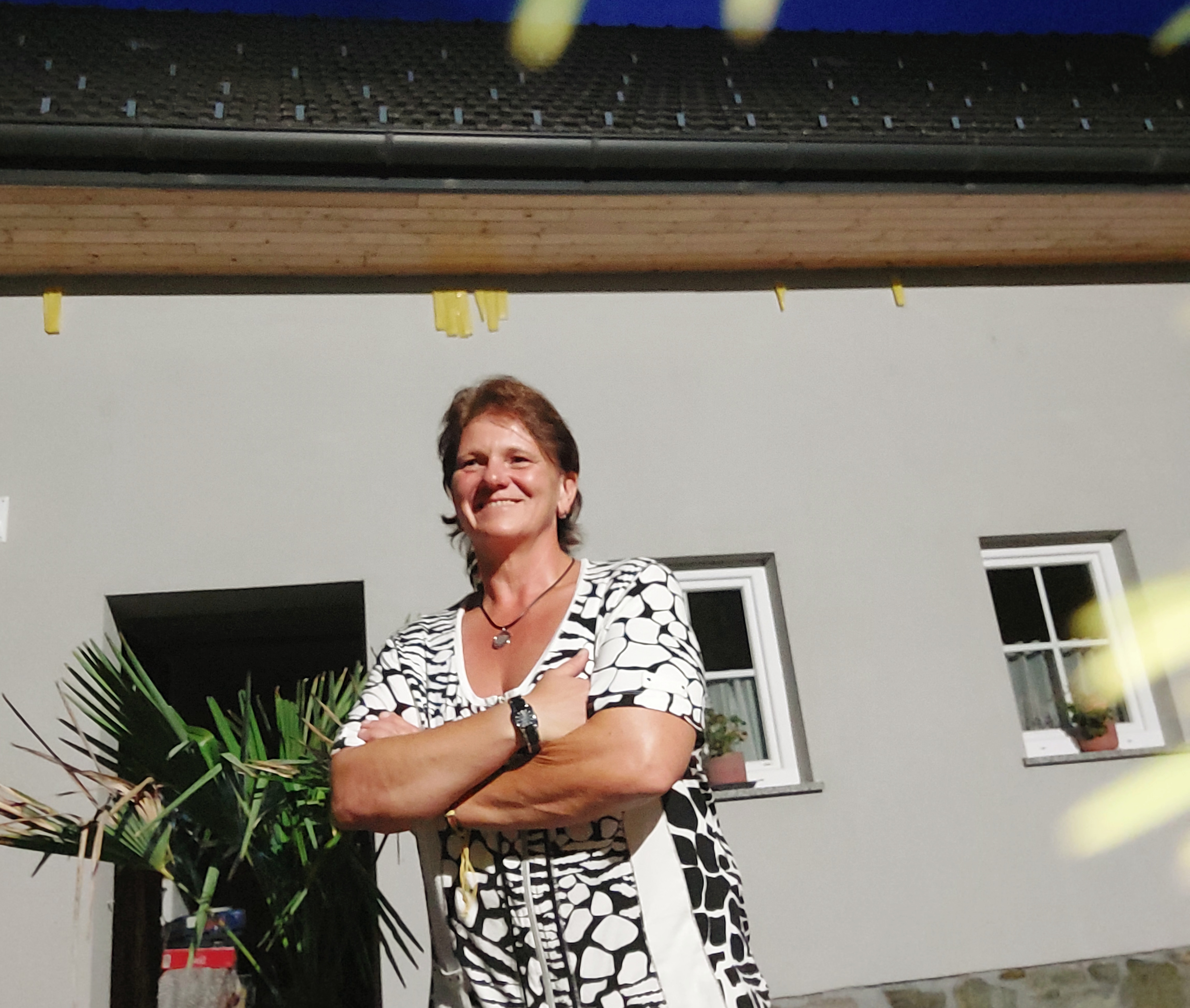 moni das wird sich finden in Südlich von Wien